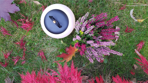 Jesienna oświetleniowa bucket lista